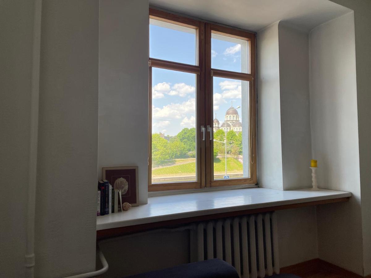 A Cozy Apartment With A Wonderful View Of The River In The Old Town Of VNO Buitenkant foto
